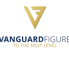 Vanguardfigure.com