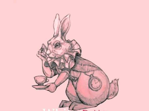 Projeto white rabbit