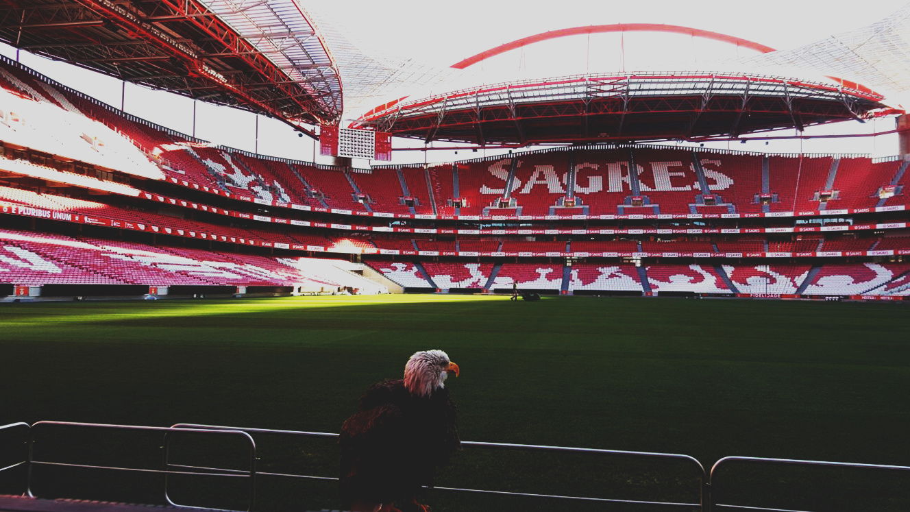 Sport Lisboa E Benfica (Visita) | Indústria Criativa